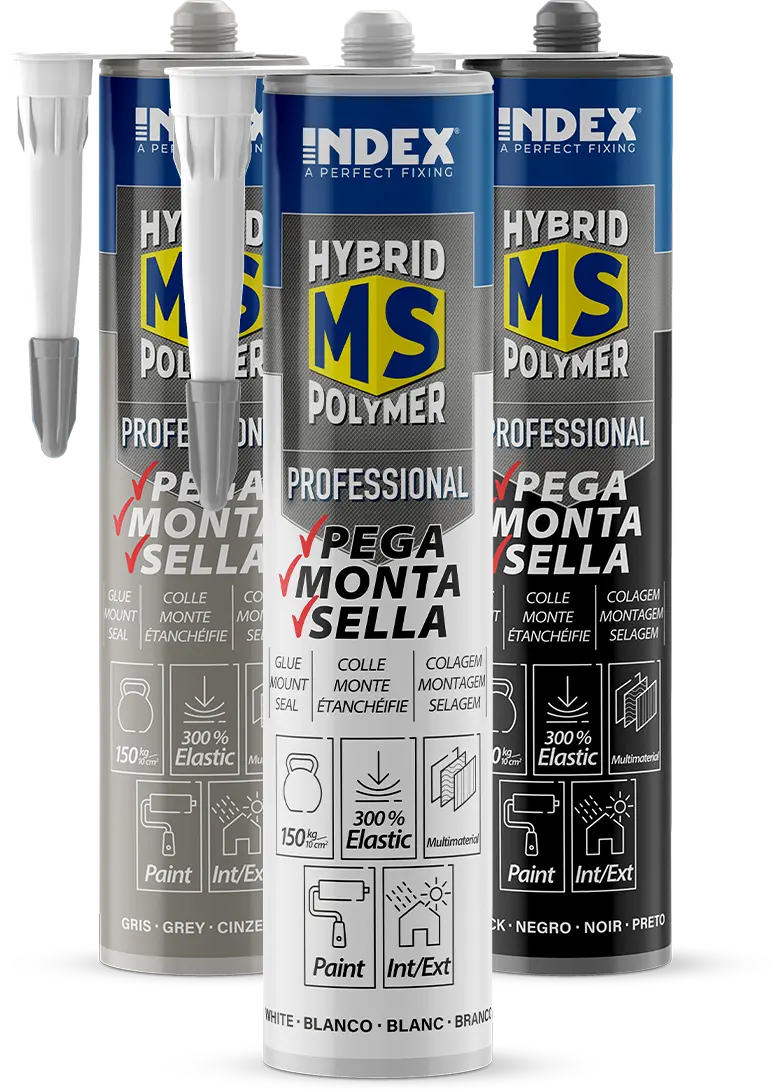 MS-PR: Professional